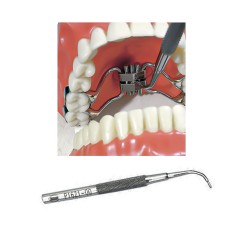 INSTRUMENT FOR ENDORAL ACTIVATION